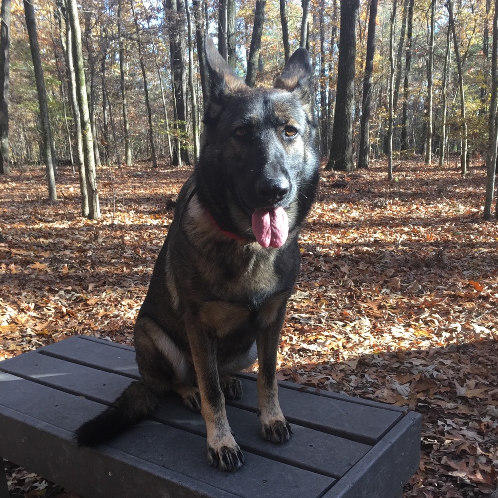 Everything must go!!!!